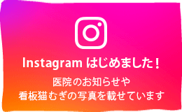 Instagram はじめました！